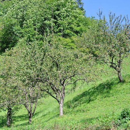 Tržič Apartments Tourist Farm Storman With Ev Ch-Station מראה חיצוני תמונה