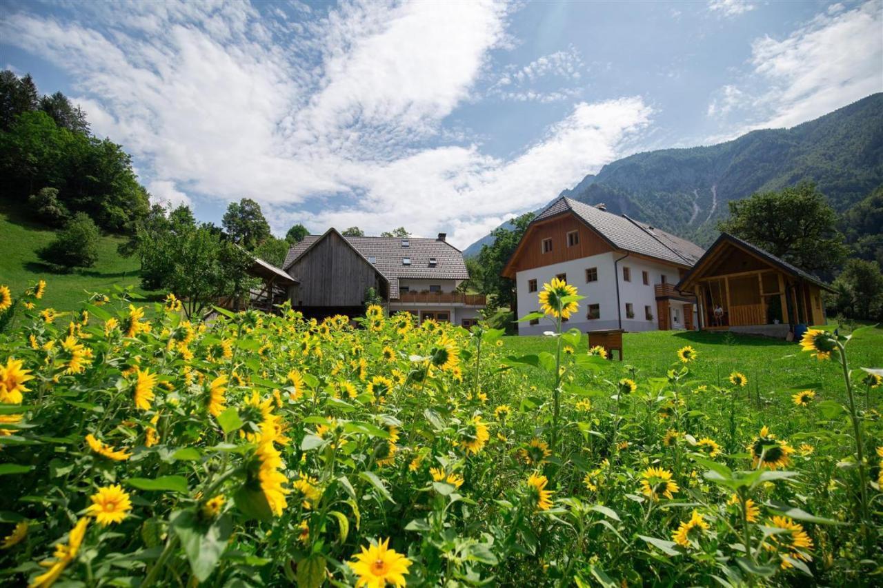 Tržič Apartments Tourist Farm Storman With Ev Ch-Station מראה חיצוני תמונה